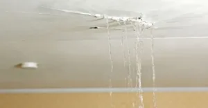 Plumbing Leaks