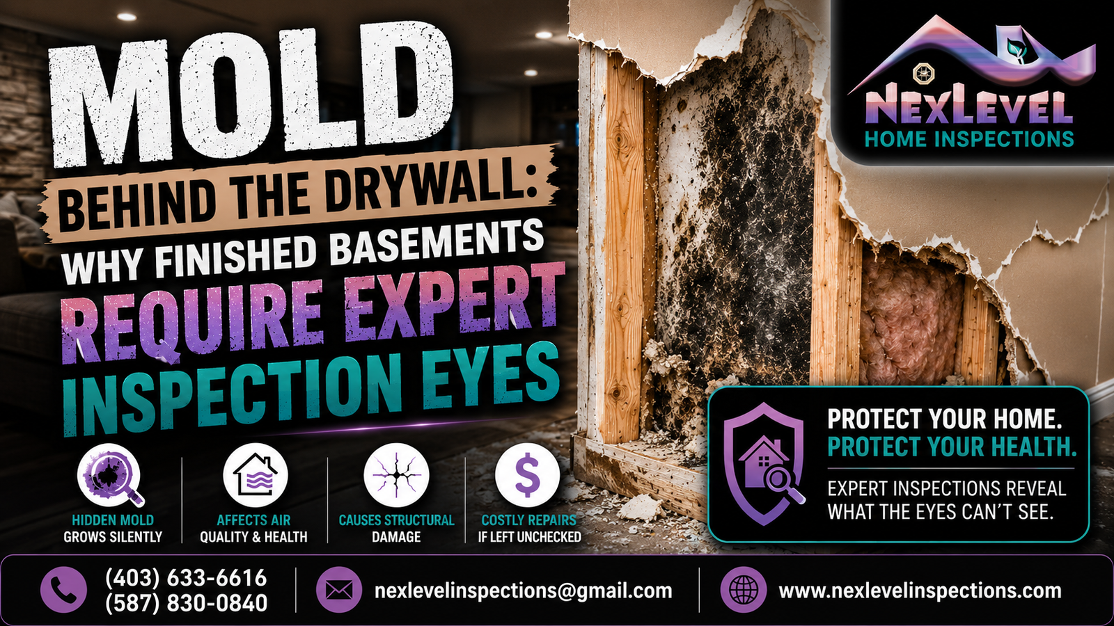 Mold Behind the Drywall Why Finished Basements Require Expert Inspection Eyes